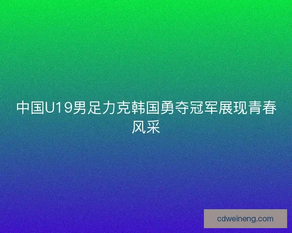 中国U19男足力克韩国勇夺冠军展现青春风采