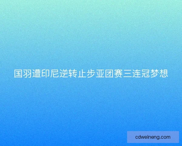 国羽遭印尼逆转止步亚团赛三连冠梦想