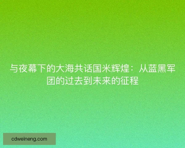 与夜幕下的大海共话国米辉煌：从蓝黑军团的过去到未来的征程