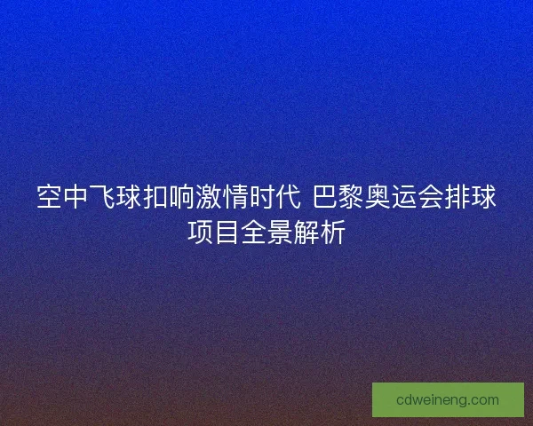 空中飞球扣响激情时代 巴黎奥运会排球项目全景解析