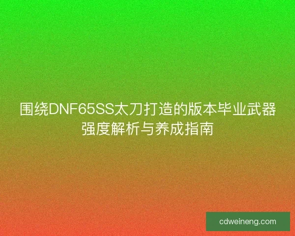 围绕DNF65SS太刀打造的版本毕业武器强度解析与养成指南