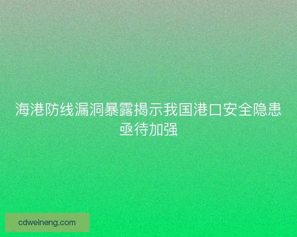 海港防线漏洞暴露揭示我国港口安全隐患亟待加强