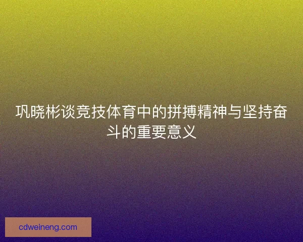 巩晓彬谈竞技体育中的拼搏精神与坚持奋斗的重要意义